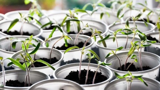 ��� ����� ����� � ��������� ������� ������� ����� ���������