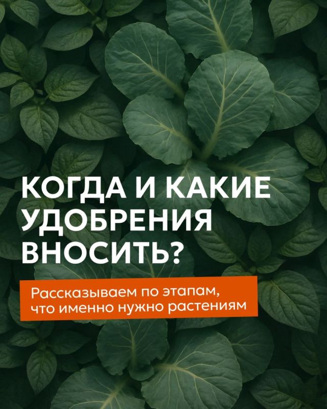 ��������� ��� ��������: ������� ��������� ������