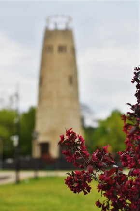 ������ �� ������ ������� ������