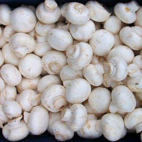 ����� �� �����: ��� ����� ��������� ���������� ����