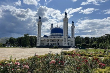 ������� ������ � ������� �� 23 ������: