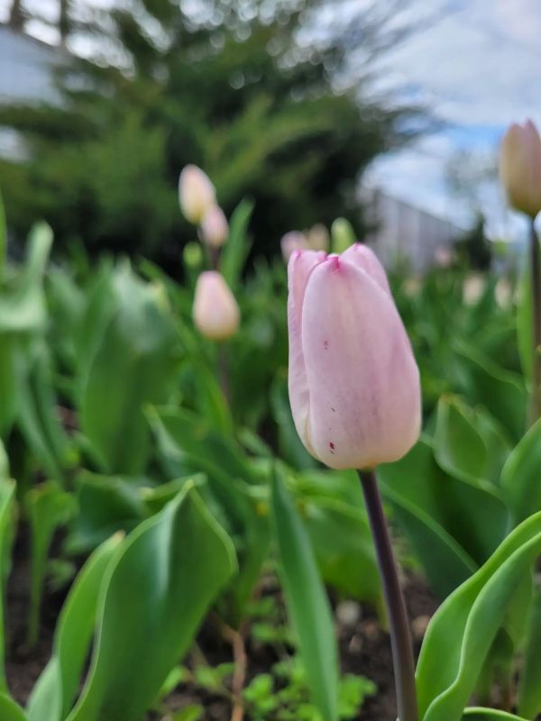 ������ � ������� �� 24 ������: