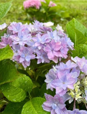 24 ������ � ������ ������� �����