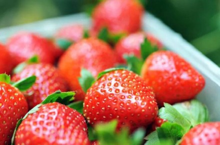 ������� ������ ��������