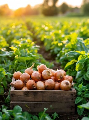 ������ ������ ������� ���� �������� � ������ ��������: ������ �� ����������� ������