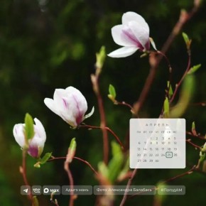 ������ ����!. 25 ������ � ������ ��������� �����