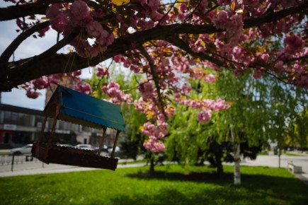 ����� ��������: ��������� ��������� ��������� � ���� ��������� ����