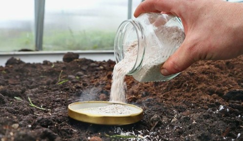 ������ ��������: ������� ������� ��� ������ �������