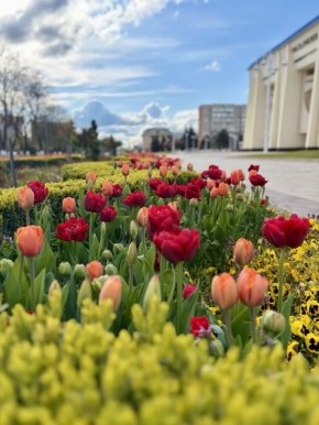 27 ������ � ������ �������