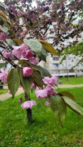 ������ � ������� �� 27 ������: