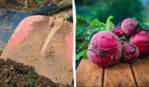 ��� ������� ������ ������� ��� ������: ������ ��� ��������� ������