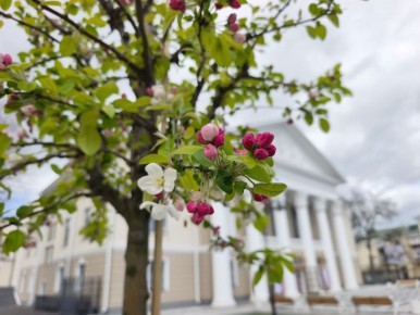 28 ������ � ������ �������