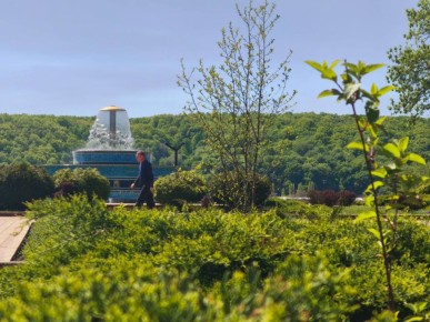 ������� � �������. ��������� ���� � ������ �������