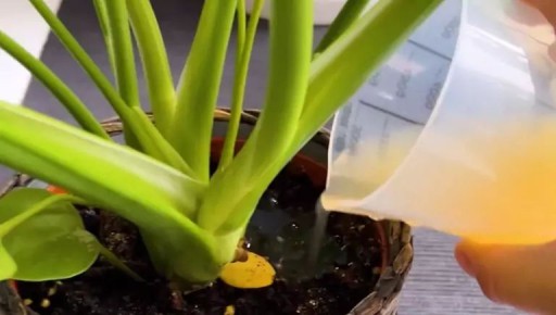 ������� ��� ������� ������: ������� ������������ ���������