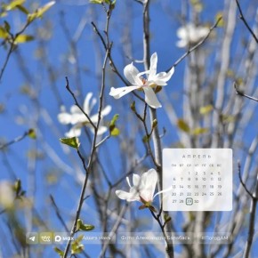 ������ ����!. 29 ������ � ������ ����, ��� �������