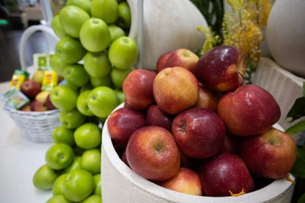 ����� ��������: ���������������� �������� � ���� �� �������� � ������������� ������ ��������� ��������� ������