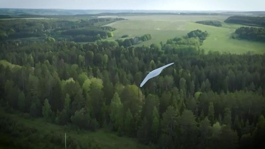 ��������������, ���������� ������������� ��������� ������������ ������������ ��������, �������� ������ ������������� � ������� ����������� ������ ����������� ��� ������