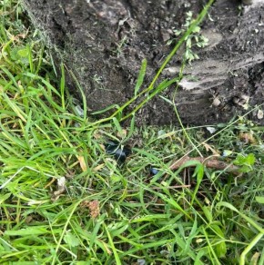 � ������� ������������ ��� ��� ��������� ������������� � ��������� �� ���� ������������� ����������