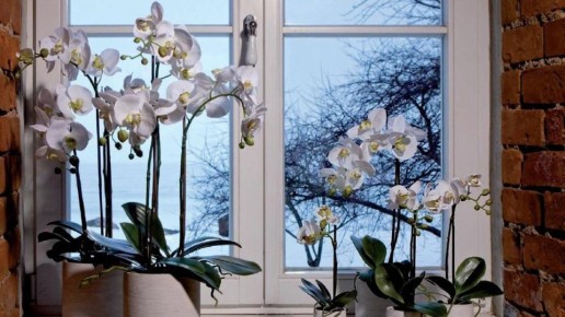 ��� ��������� ��������� �� ��������� � �������� ������ ��������