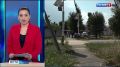 Обильные осадки способствуют активному росту растительности, в том числе сорной