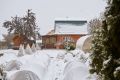 Проверка зимних укрытий в саду: практическое руководство для успешной весны