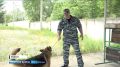 Профессиональный праздник отмечают специалисты кинологических подразделений