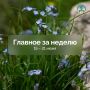 ������� ������� ��������� ������:
