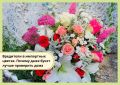 В России вновь обнаружены карантинные вредители в импортных цветах. Почему стоит проверить букет перед тем, как ставить его домой?
