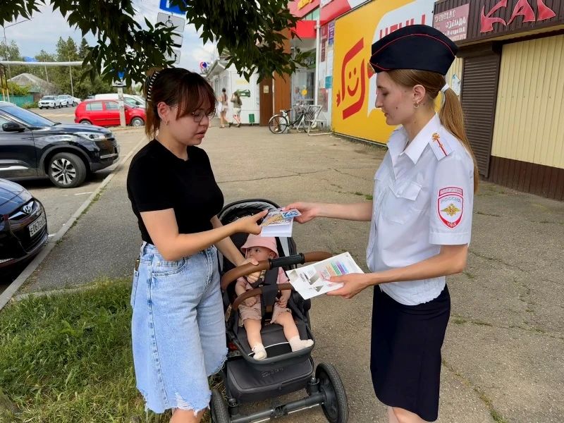 В Гиагинском районе сотрудники Госавтоинспекции провели профилактическую акцию «Пешеход» В Гиагинском районе сотрудники Госавтоинспекции провели профилактическую акцию «Пешеход»