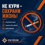 Брошенная сигарета — причина пожара!