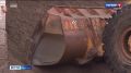 Двое жителей Краснодарского края предстанут перед судом за незаконную добычу природных ресурсов на территории Тахтамукайского района