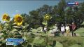� ������ ���������������� �������� �������� ���������� ���������� ��� ��������� � ���������� ��������������� ��������
