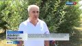 В Теучежском районе начался сбор яблок