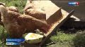 В силу вступил обязательный учёт птицы в личных подсобных хозяйствах