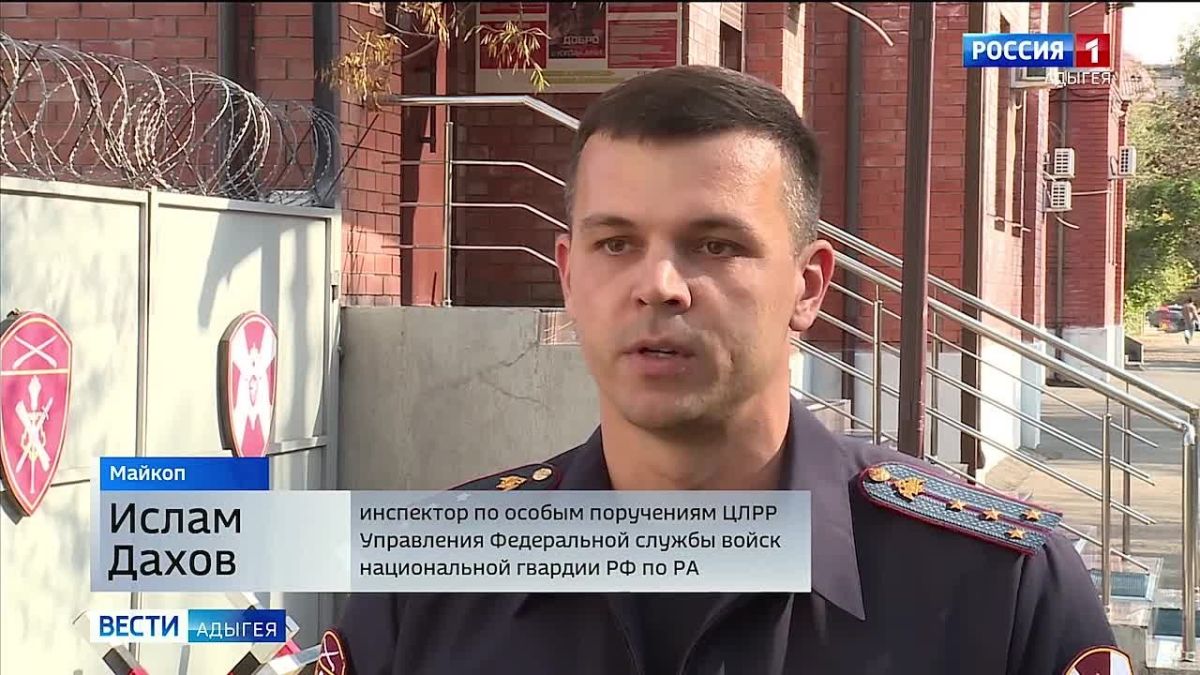 Свыше трехсот единиц оружия изъяли сотрудники Росгвардии у жителей Адыгее с начала этого года