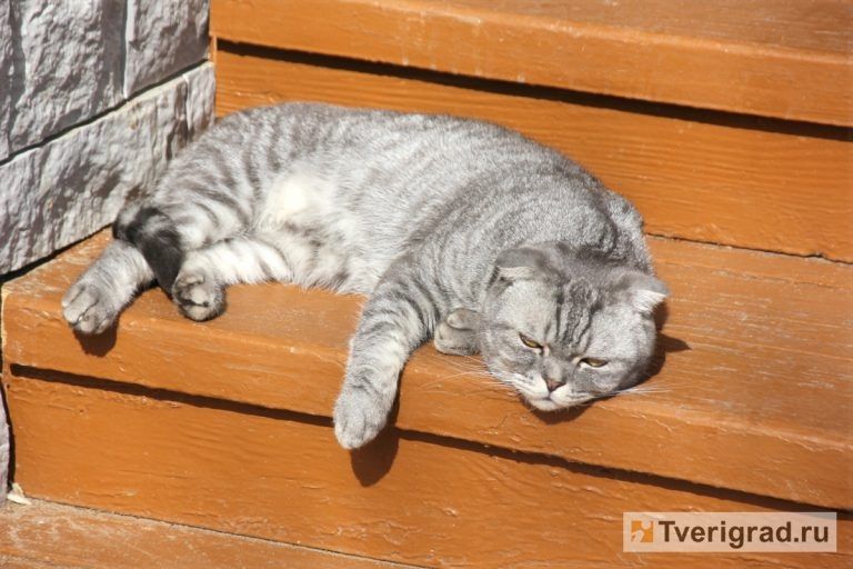 ����� ������������: ������� ���� ������ ��������� ��������� � ��������� � ������