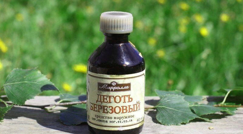 Полезное применение березового дегтя в огороде