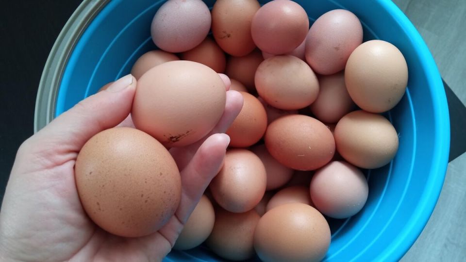 Почему жители деревни предпочитают покупать мясо в магазине, а не у местных фермеров?