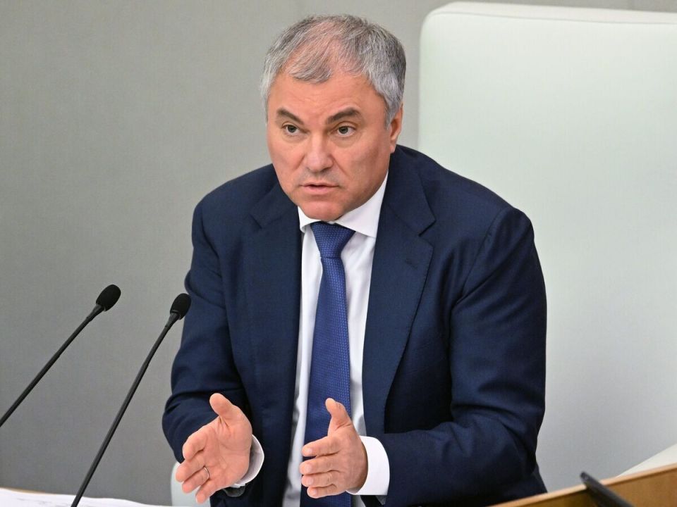 Владимир Володин предлагает конфискацию активов инициаторов воровства