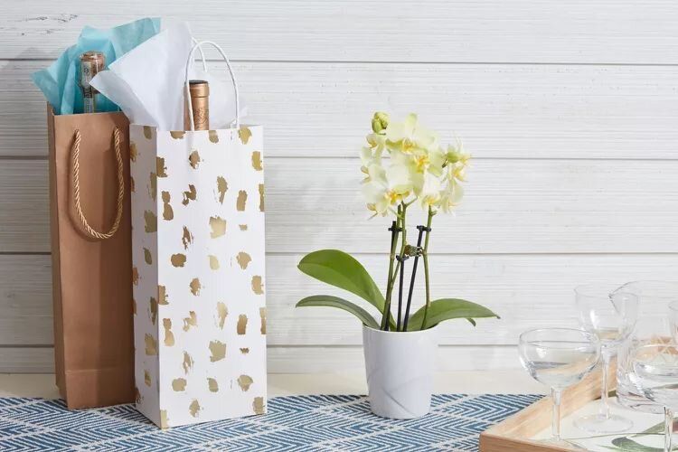 Секреты идеального гостя: учимся общению и etiquette