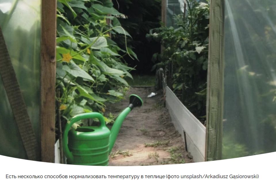 Как справиться с жарой в теплице: лучшие советы для садоводов