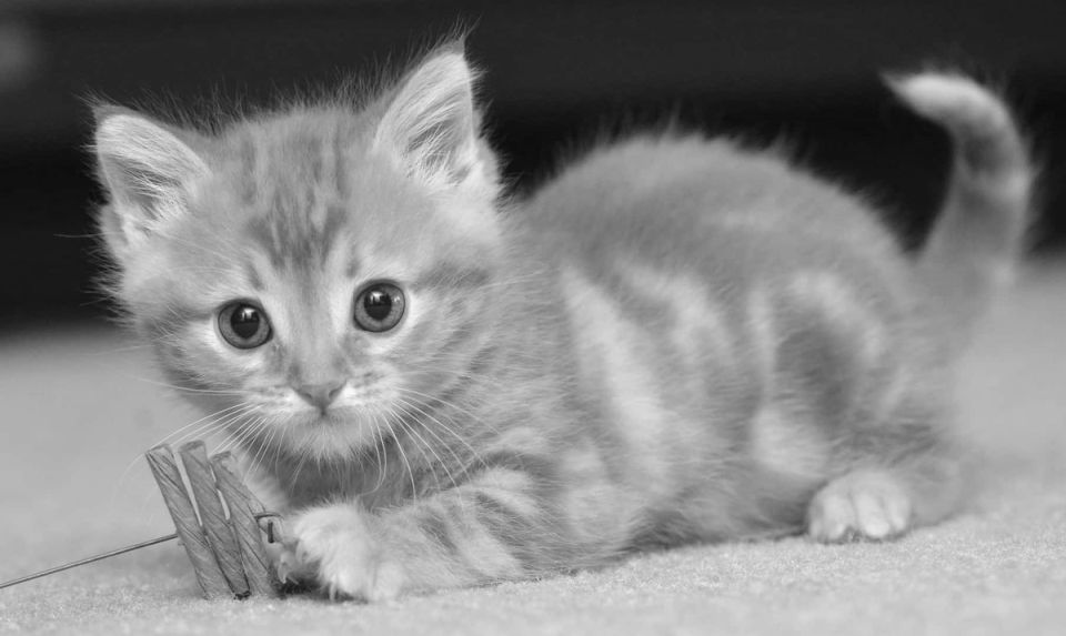 Как развить внутреннее чутье: исследуйте силу интуиции