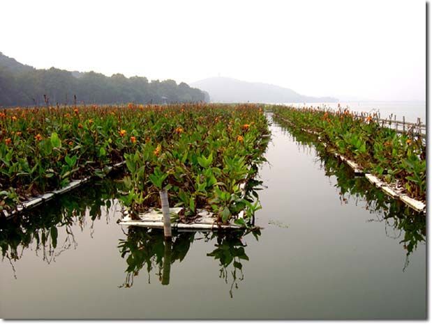 �������� ����: ��� ���������� ������ ���� ��������� ���������