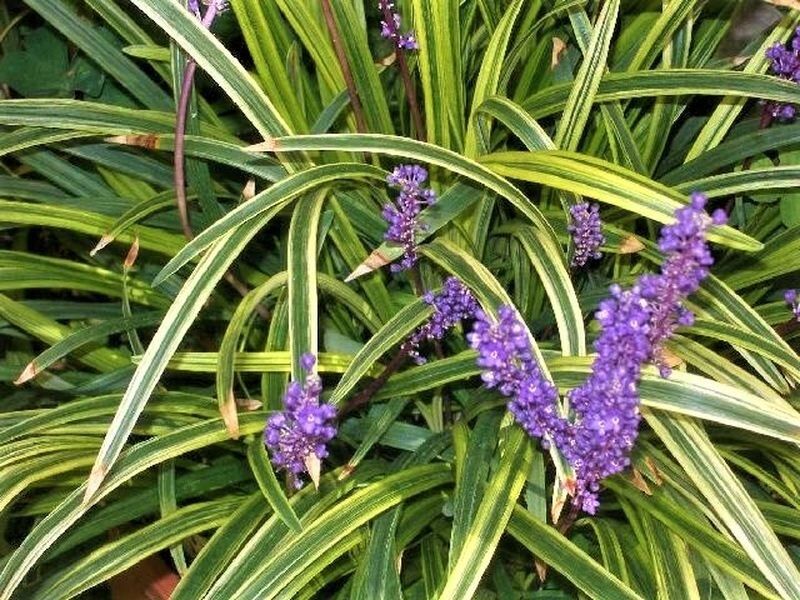 ��������� � ������������ ���� ��� ���������