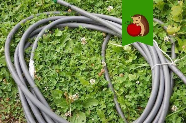 Как старые шланги могут преобразить ваш дачный участок