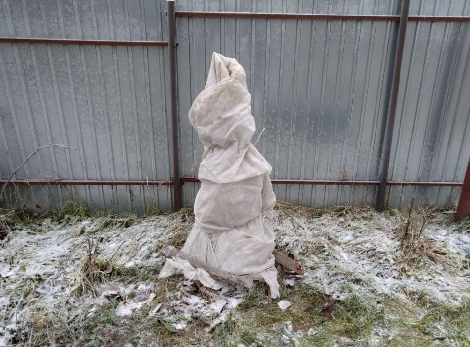 ������� ���������� ��������� ��� � ����