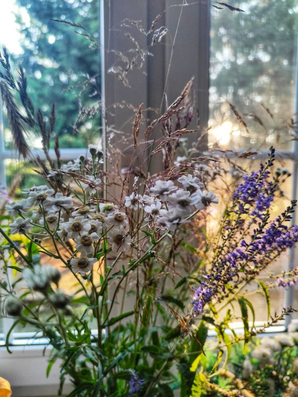 ������ ���� �� �������� 15-16 ����: ��������� �����������