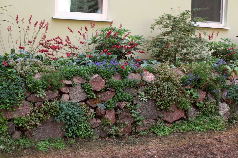 ������� �������: ��� �������� ������ ��������� �������� ��������