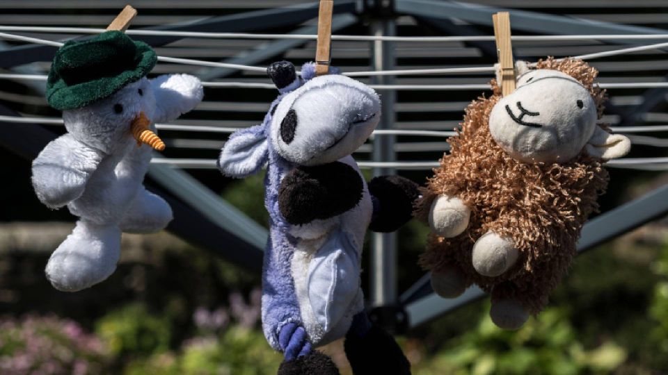 ���� �� �������: ������ ������� ������ ��� �����, ���� �������� �� ���