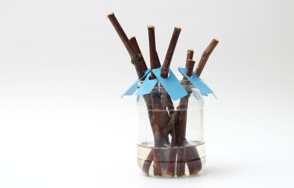 ������ �������� ���������� �������� ���: ������� �����